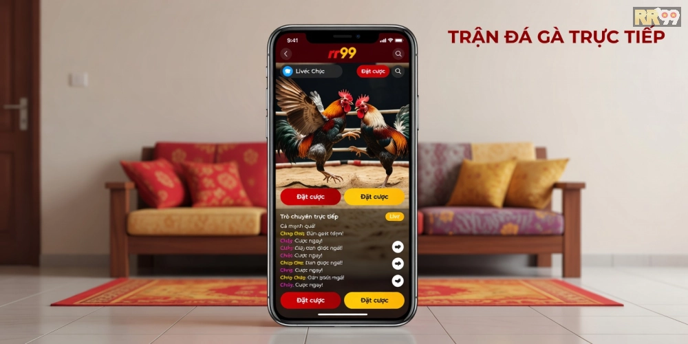 Minh họa giao diện xem đá gà trực tiếp trên nền tảng rr99 với chất lượng HD sắc nét